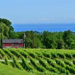 North East Wineries