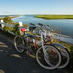 Cape Cod Rail Trail