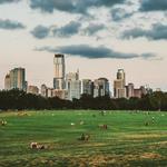 Zilker Metropolitan Park