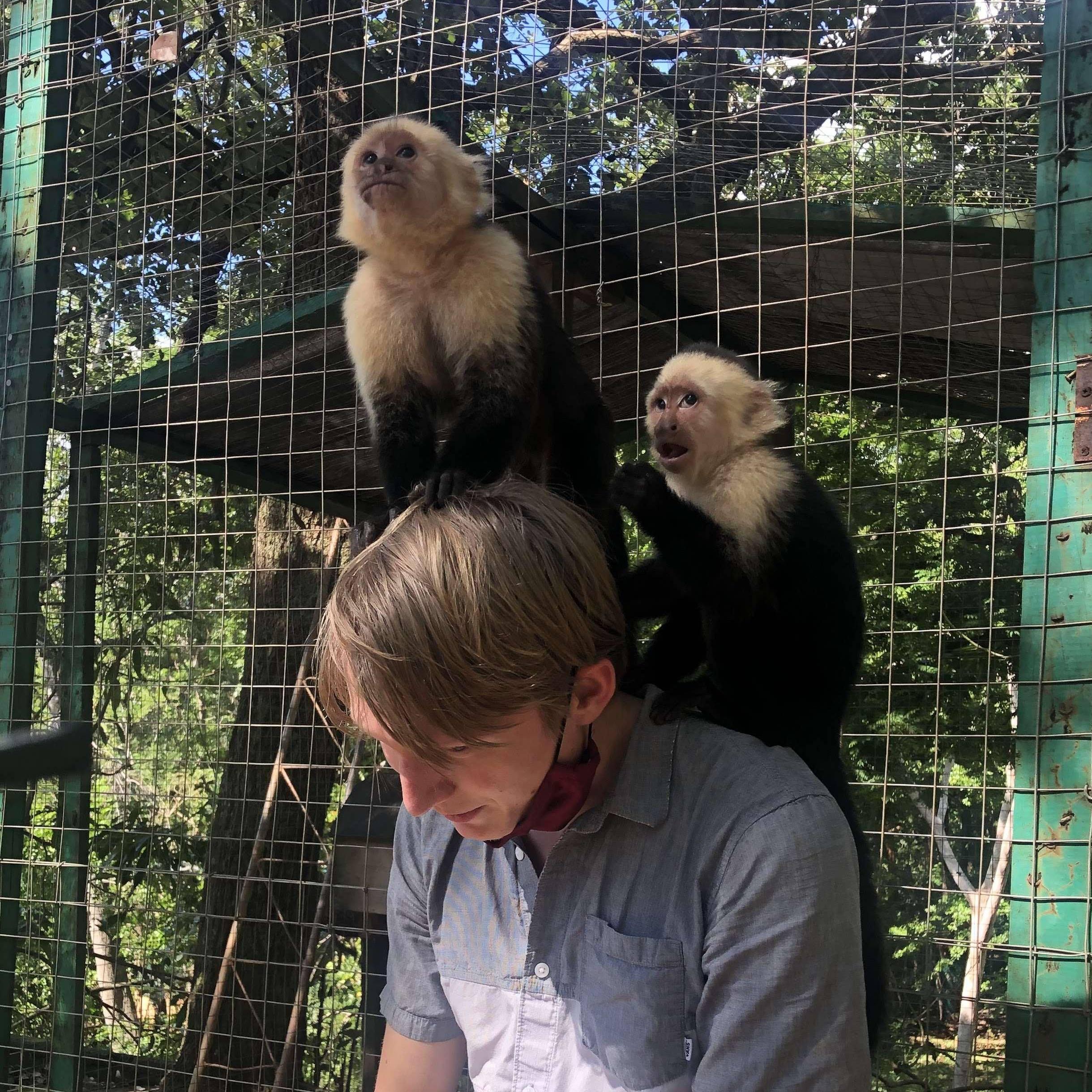 On our cruise Zach got to let some monkeys crawl all over him. The handler recommended he take his glasses off, or they may scurry away with them!