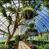 New York Botanical Garden
