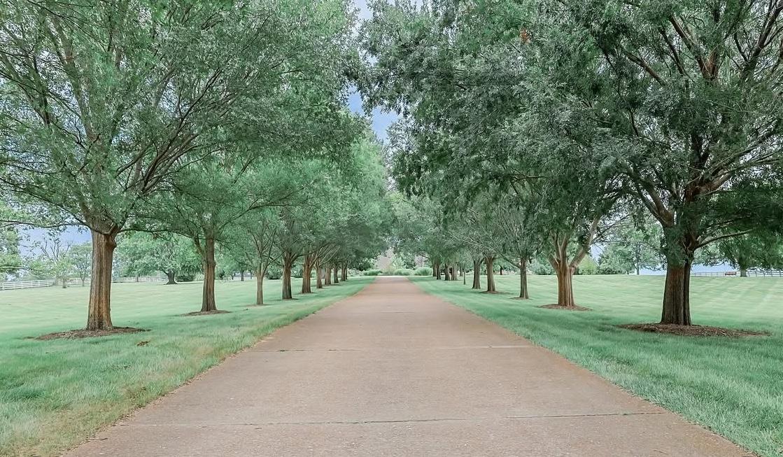 The Wedding Website of Marielle Carlos and Spenser Rook