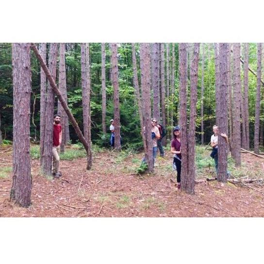 Woods of West Virginia - 2018