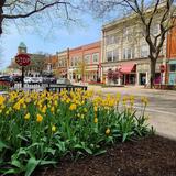Downtown Holland