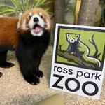 Ross Park Zoo