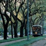 Garden District