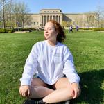 The Nelson-Atkins Museum of Art