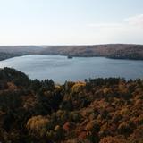 Dorset Lookout Tower