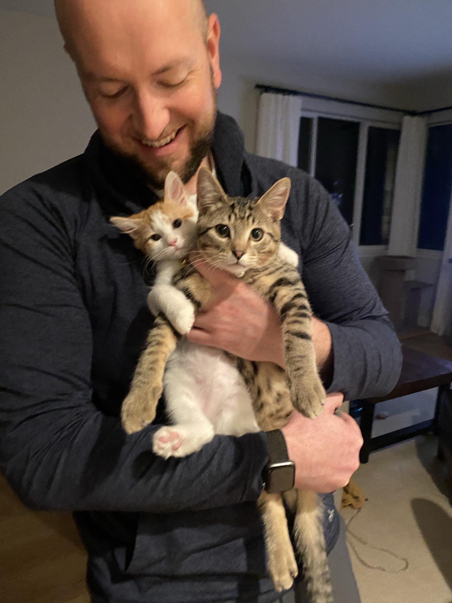 A cat stack of two of the funniest little fellas - 10/11/21