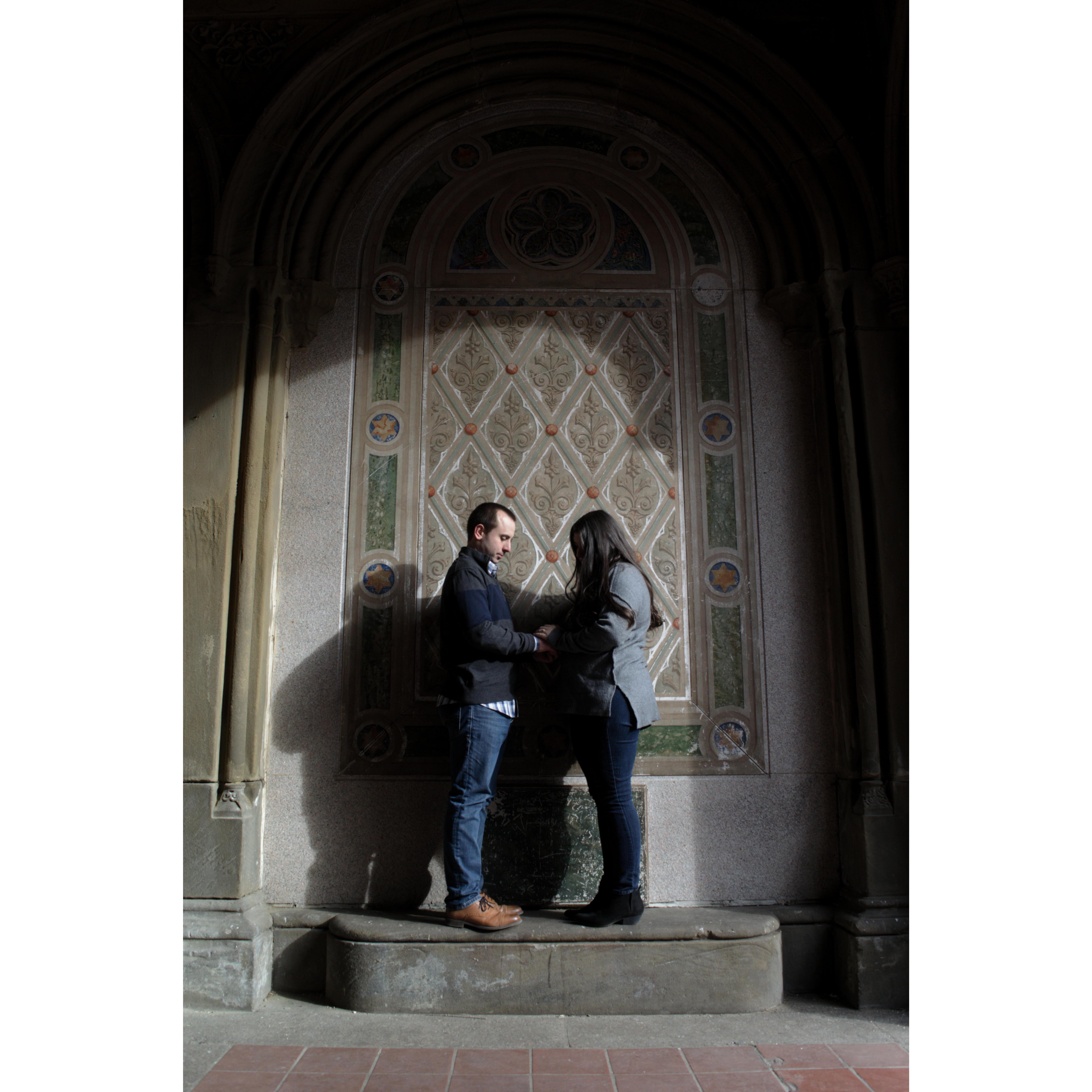 Engagement Photos in Central Park