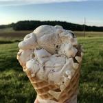 Maple View Farm Ice Cream