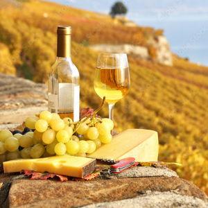 Tuscan Wine Safari