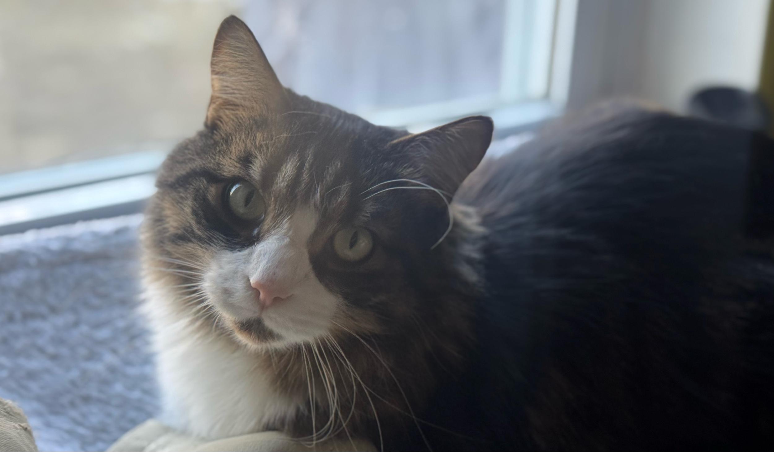 The Wedding Website of Stephanie Neumann and Edwin Barahona