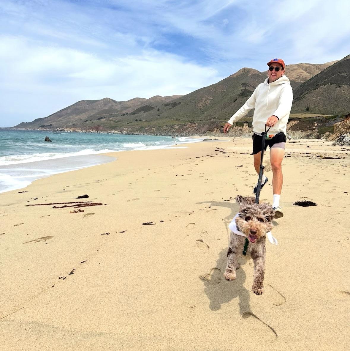 The Magical Big Sur