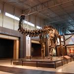 Tellus Science Museum