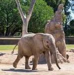 Reid Park Zoo