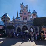 Disneyland Resort
