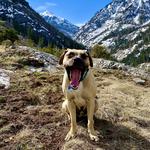Perimeter Trail