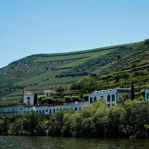 Porto: Douro Valley w/ Boat Tour, Wine Tasting & Lunch
