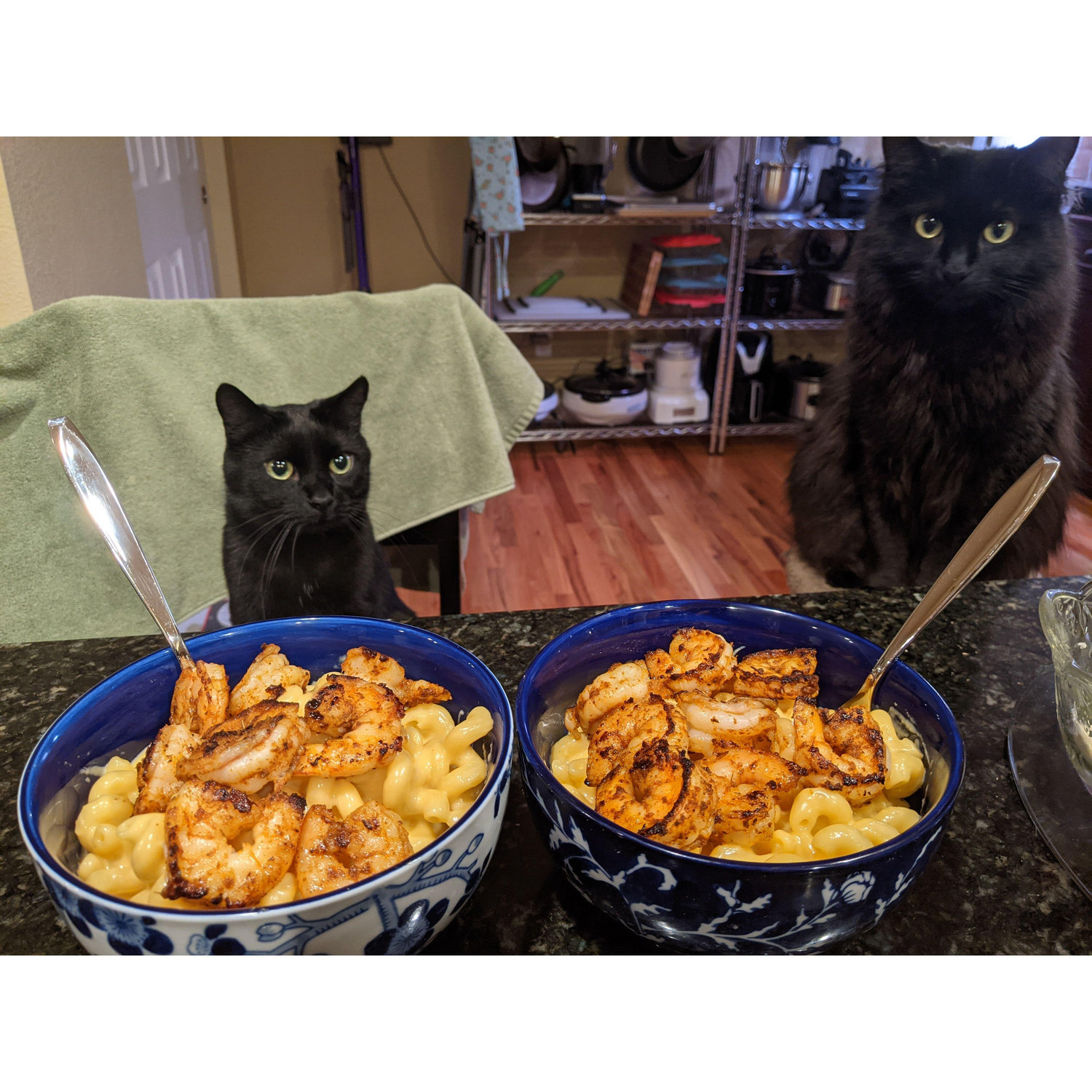 This shrimp mac & cheese is fur me? :)