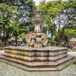 ANTIGUA CULTURAL WALKING TOUR