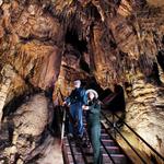 Mammoth Cave
