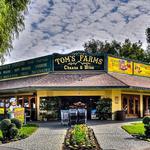 Tom's Farms