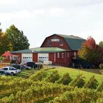Carter Mountain Orchard
