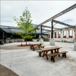 MadTree Brewing