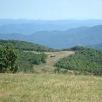 Max Patch