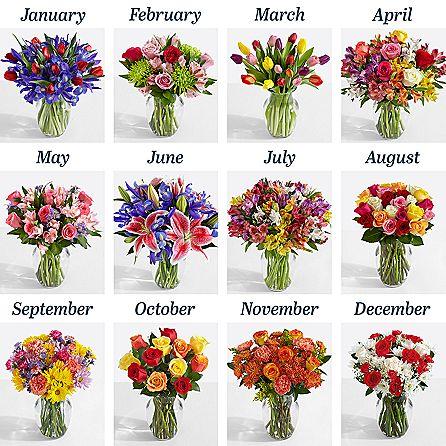 6 Months of Flowers