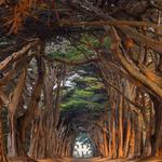 Point Reyes National Seashore