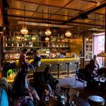 Selva Oaxaca Cocktail Bar