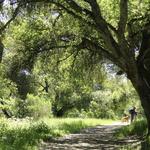 Garland Ranch Regional Park