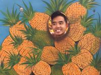 Dole Plantation