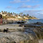 Windansea Beach