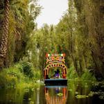 CDMX Day trip - Xochimilco