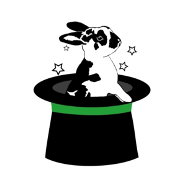 Magic Happens Rabbit Rescue Fund