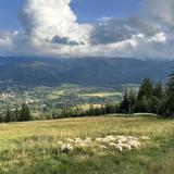 Zakopane