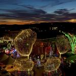 Lights of the Ozarks at the Fayetteville Square
