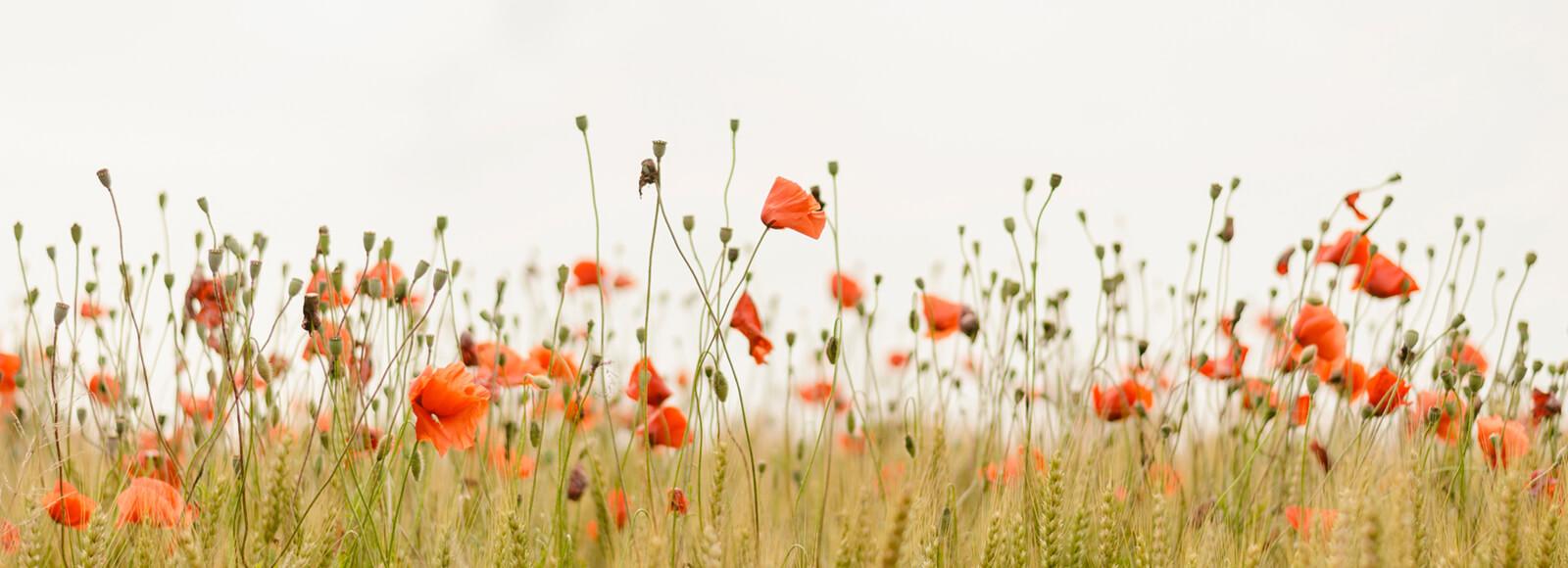 54921a1b-55aa-4da1-8bc1-9cabf56a1f32