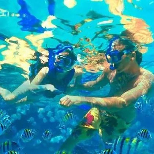 Los Acros Snorkeling Adventure