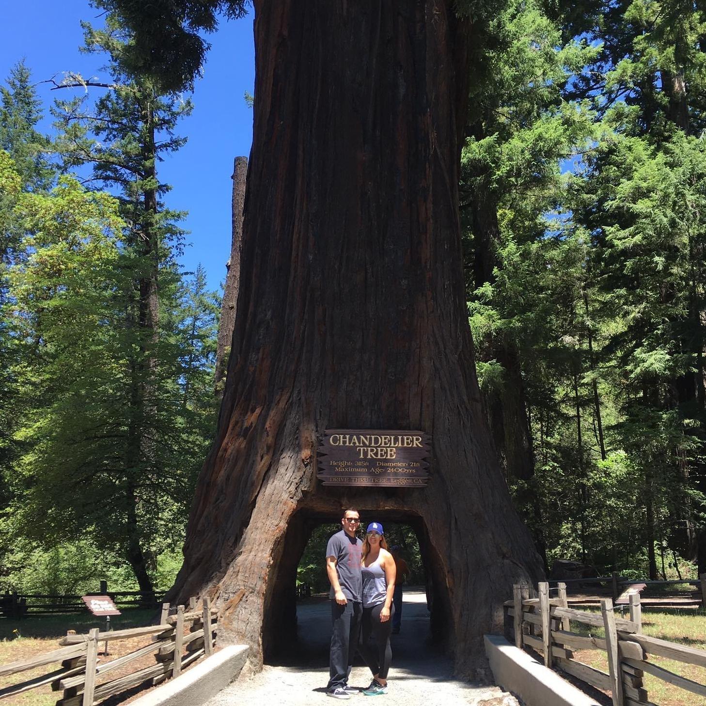 On the road trip back down from Washington, we camped in the Redwoods and took in the beauty Northern California has to offer.