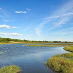 Mass Audubon's Allens Pond Wildlife Sanctuary
