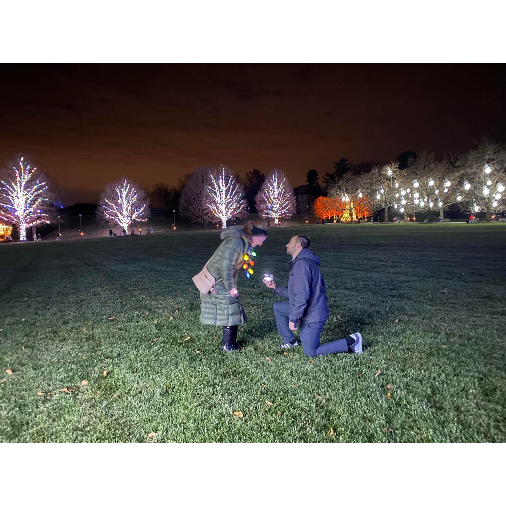 We got engaged on Christmas Eve at Longwood Gardens.