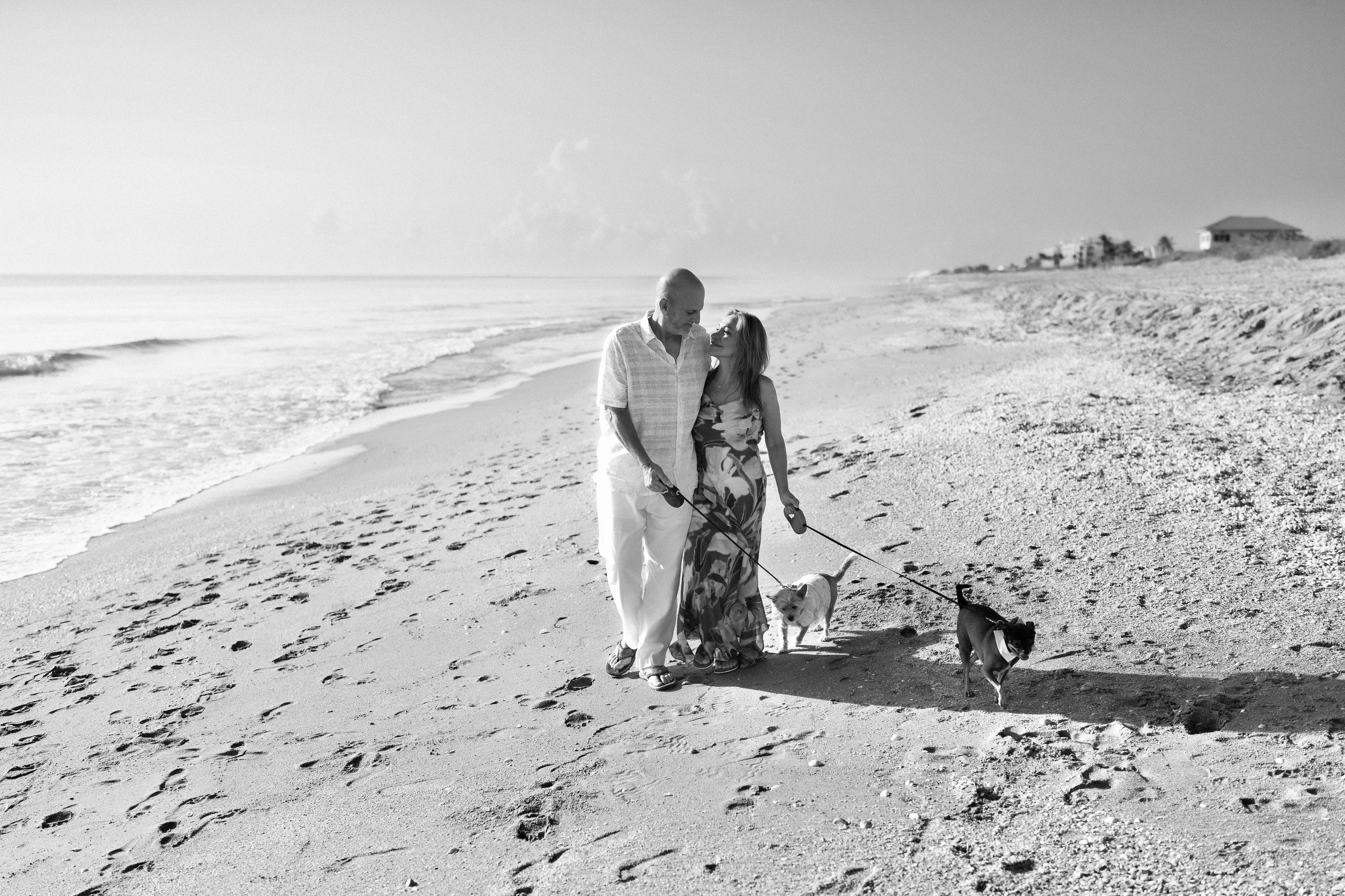 The Wedding Website of Allison Alfaro and Bob Seidel