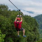 Navitat Canopy Adventures
