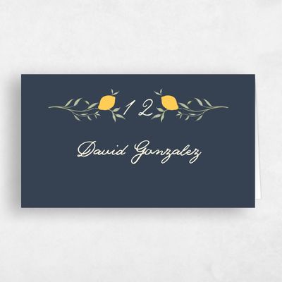 Grayed Navy, Blue Wedding Place Card - Brume