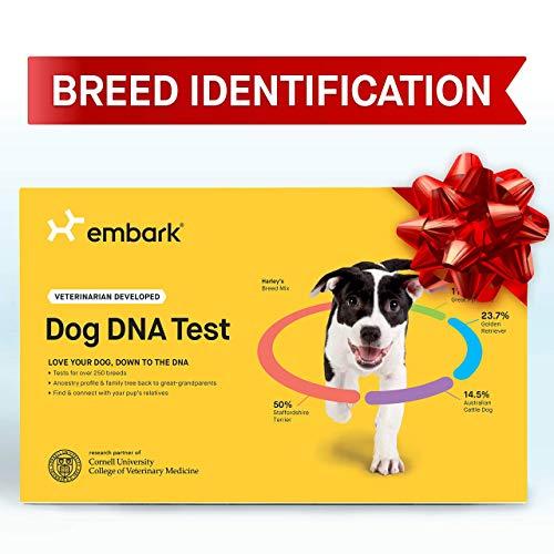 Embark | Dog DNA Test | Breed Identification Kit