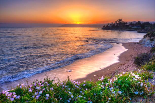 The Wedding Website of Danielle Herren and Michael Hopkins